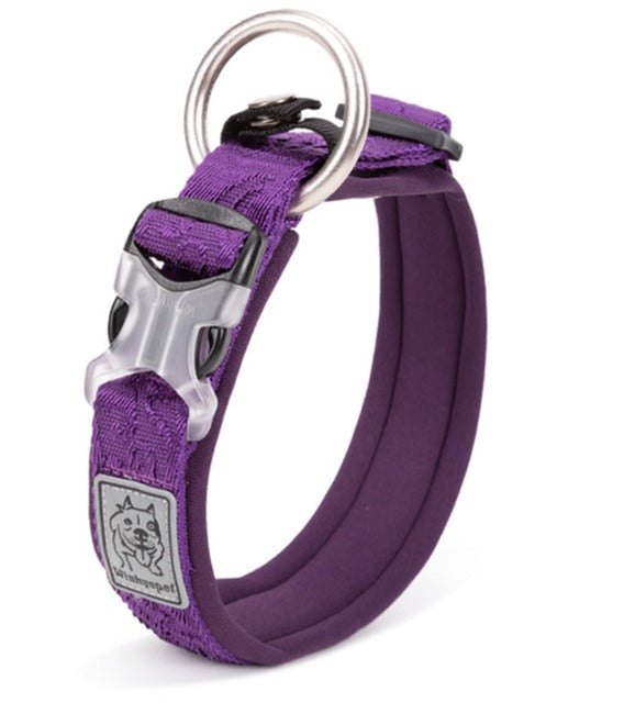 Whinhyepet Collar purple - M